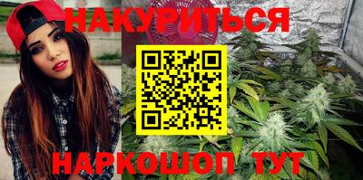 индика Усть-Джегута
