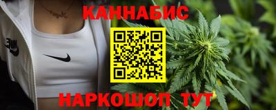 индика Усть-Джегута