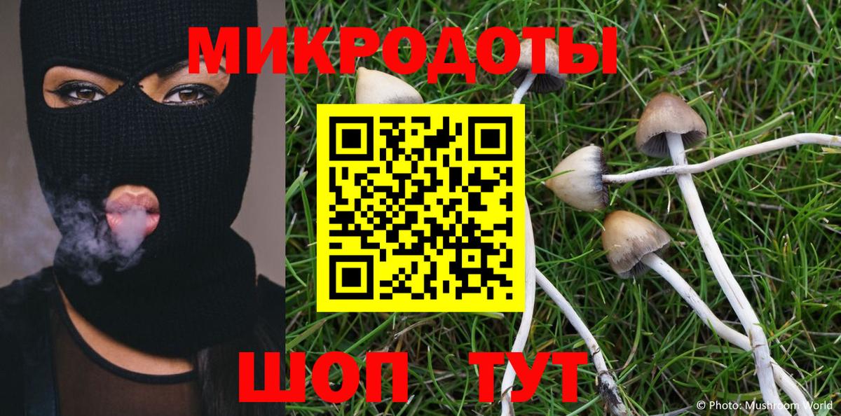 Галлюциногенные грибы Cubensis Белореченск
