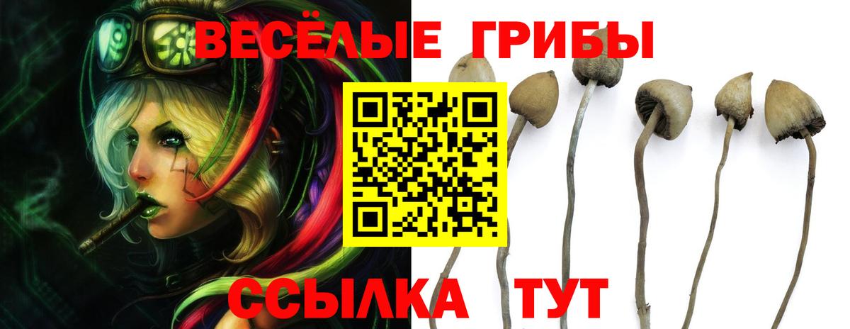 Галлюциногенные грибы Psilocybine cubensis  где купить наркотик  Галлюциногенные грибы Magic Shrooms  Белореченск  Вход с VPN 